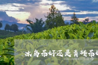 冰岛茶好还是青砖茶好/2023061207259