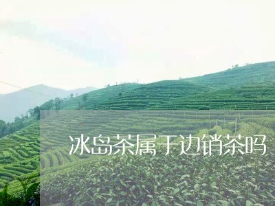 冰岛茶属于边销茶吗/2023042668561