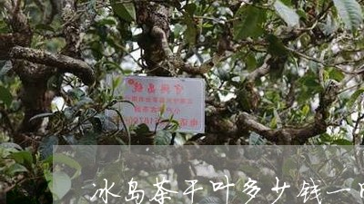 冰岛茶干叶多少钱一斤/2023092373829