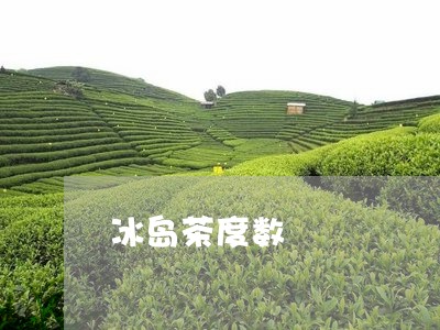 冰岛茶度数/2023041899613