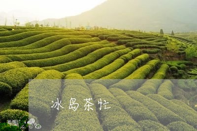 冰岛茶忙/2023110823949