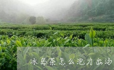 冰岛茶怎么泡才出汤色/2023061287794