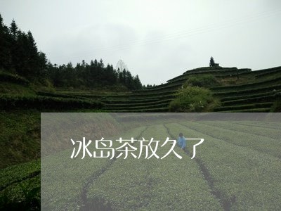 冰岛茶放久了/2023090742948