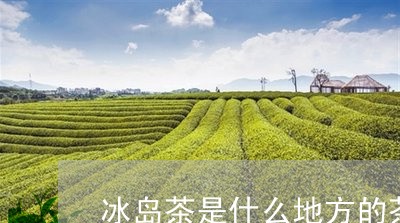 冰岛茶是什么地方的茶/2023061222935