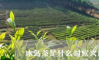 冰岛茶是什么时候火的/2023061286947