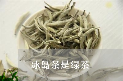 冰岛茶是绿茶/2023090742916