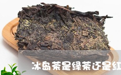 冰岛茶是绿茶还是红茶/2023061162493