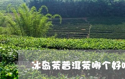 冰岛茶普洱茶哪个好喝些/2023082527260