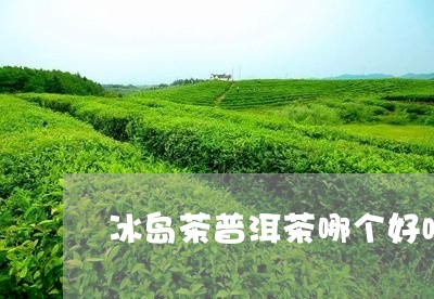 冰岛茶普洱茶哪个好喝点/2023110115069