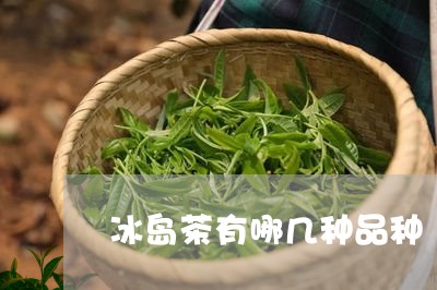 冰岛茶有哪几种品种/2023042621739