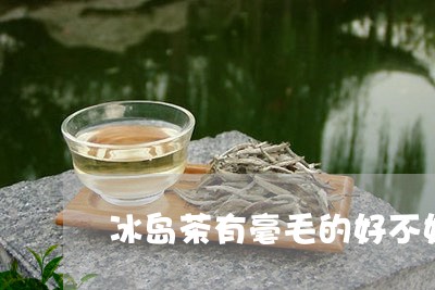 冰岛茶有毫毛的好不好/2023061208350