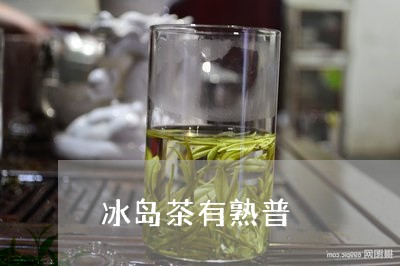 冰岛茶有熟普/2023090797380