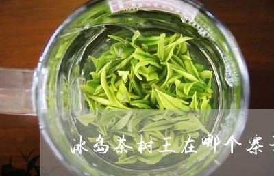 冰岛茶树王在哪个寨子/2023092347302