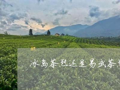 冰岛茶烈还是易武茶烈/2023061272936