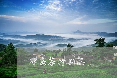 冰岛茶特别涩/2023090748350