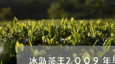 冰岛茶王2009年早春茶价格/2023053113718