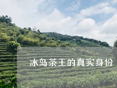 冰岛茶王的真实身份/2023042615160