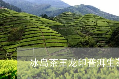 冰岛茶王龙印普洱生茶/2023092565816