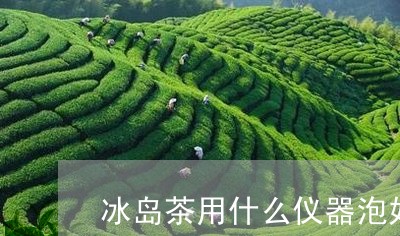 冰岛茶用什么仪器泡好/2023092348261