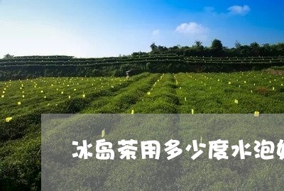 冰岛茶用多少度水泡好/2023092348504