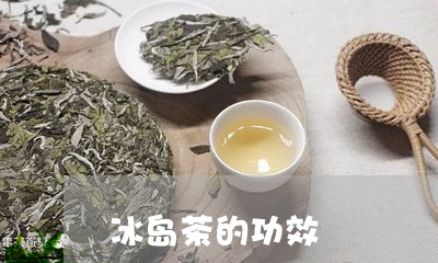 冰岛茶的功效/2023090777173