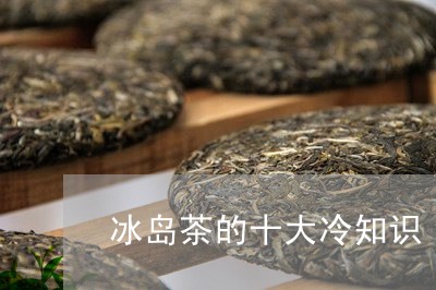 冰岛茶的十大冷知识/2023042657283