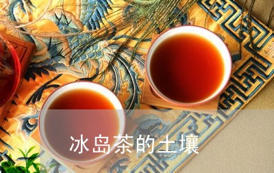 冰岛茶的土壤/2023090715071