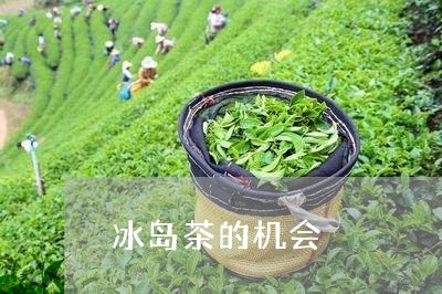 冰岛茶的机会/2023090723837