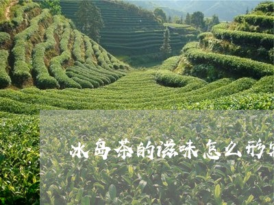 冰岛茶的滋味怎么形容/2023092383946