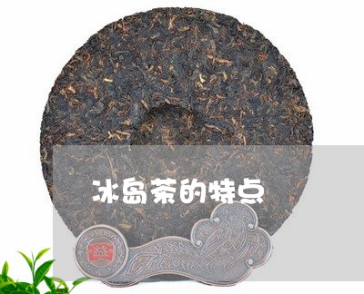 冰岛茶的特点/2023090780503