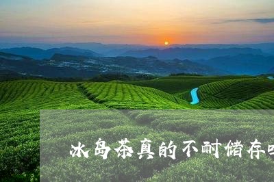 冰岛茶真的不耐储存吗/2023092384169