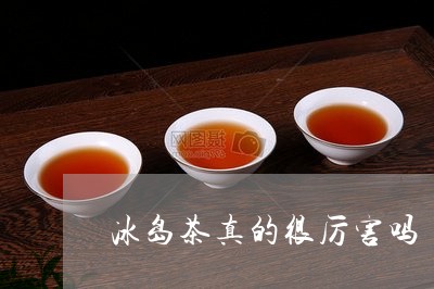 冰岛茶真的很厉害吗/2023042689694