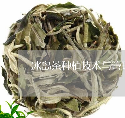 冰岛茶种植技术与管理/2023061122927