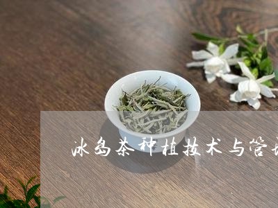 冰岛茶种植技术与管理/2023092203147