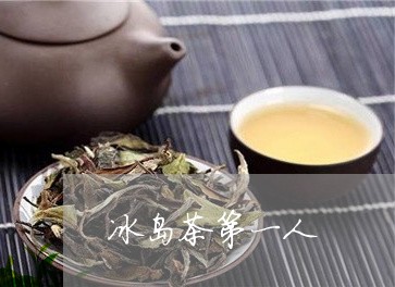 冰岛茶第一人/2023090709583