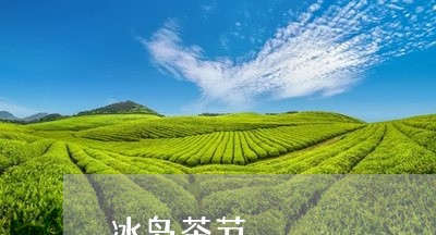 冰岛茶节/2023090171725