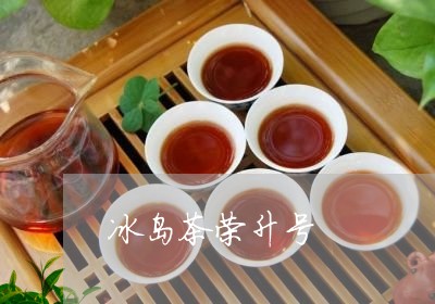 冰岛茶荣升号/2023090794050