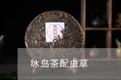 冰岛茶配虫草/2023090741692