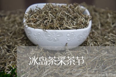 冰岛茶采茶节/2023090752938