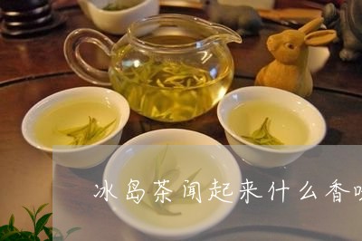 冰岛茶闻起来什么香味/2023061104736