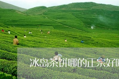 冰岛茶饼哪的正宗好喝/2023061283915