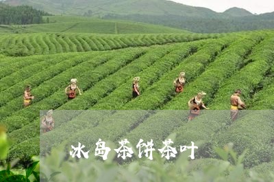 冰岛茶饼茶叶/2023090792835