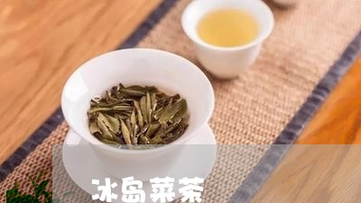 冰岛菜茶/2023121816936