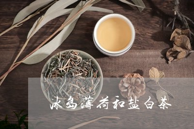 冰岛薄荷和盐白茶/2023061662804