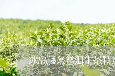 冰岛藤条普洱生茶特点/2023092514050