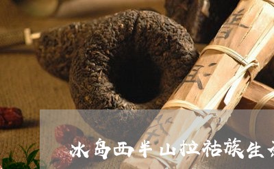 冰岛西半山拉祜族生茶/2023061235038