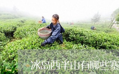 冰岛西半山有哪些寨子/2023092355037