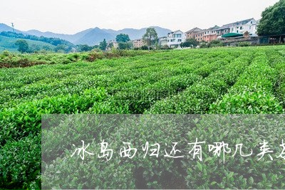 冰岛西归还有哪几类茶/2023061216471