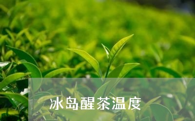 冰岛醒茶温度/2023090796069