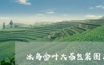 冰岛金叶大茶包装图片/2023061246461